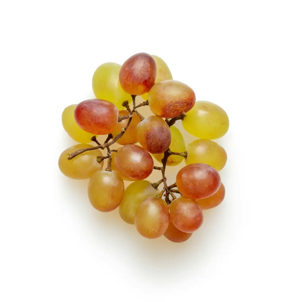 Sample Fruit