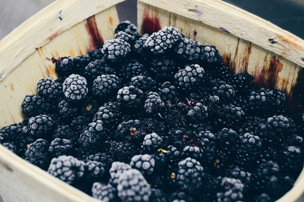 Mulberry